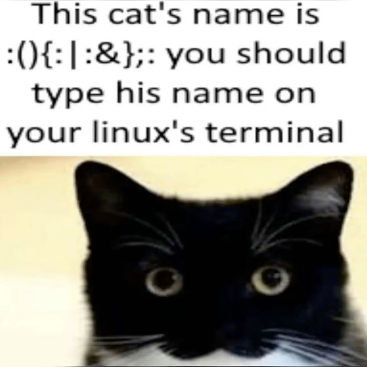 f05e2d1556149860937cf7b58c8d35c3.jpg