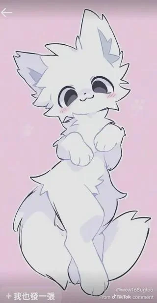post-a-boykisser-cuter-than-this-bet-u-cant-v0-t7o4ncgt2cxg1.webp