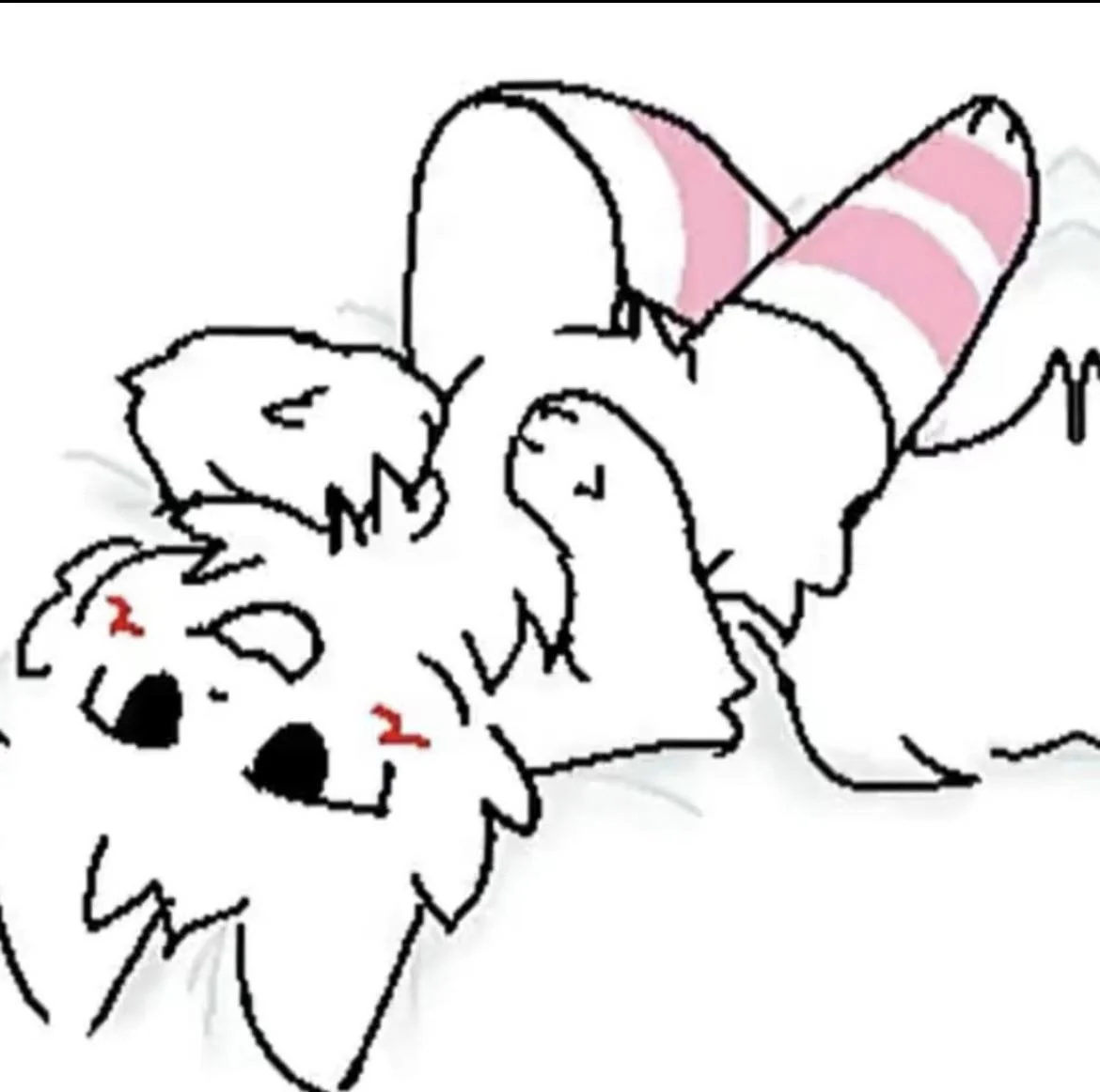 why.jpg